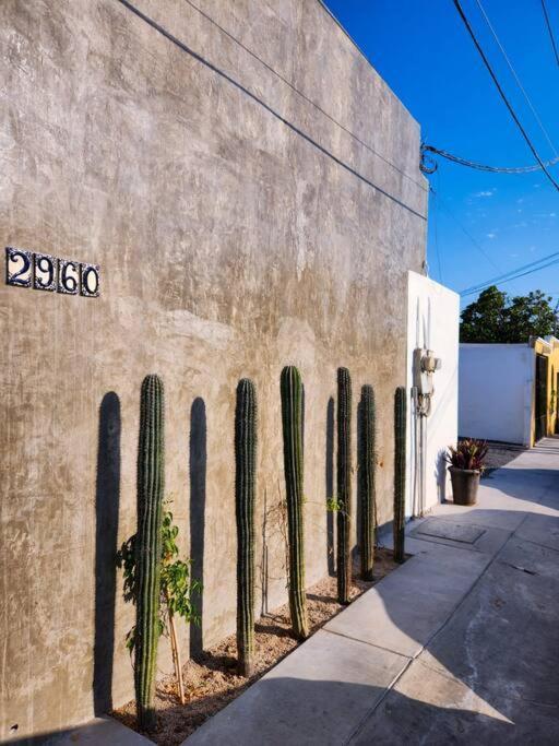 Appartamento Departamento Con Terraza La Paz Esterno foto